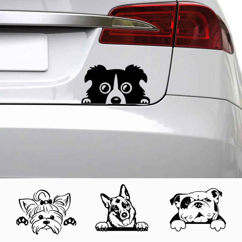 Laptop Accessories Price - Carros acessórios decalques engraçado cão com